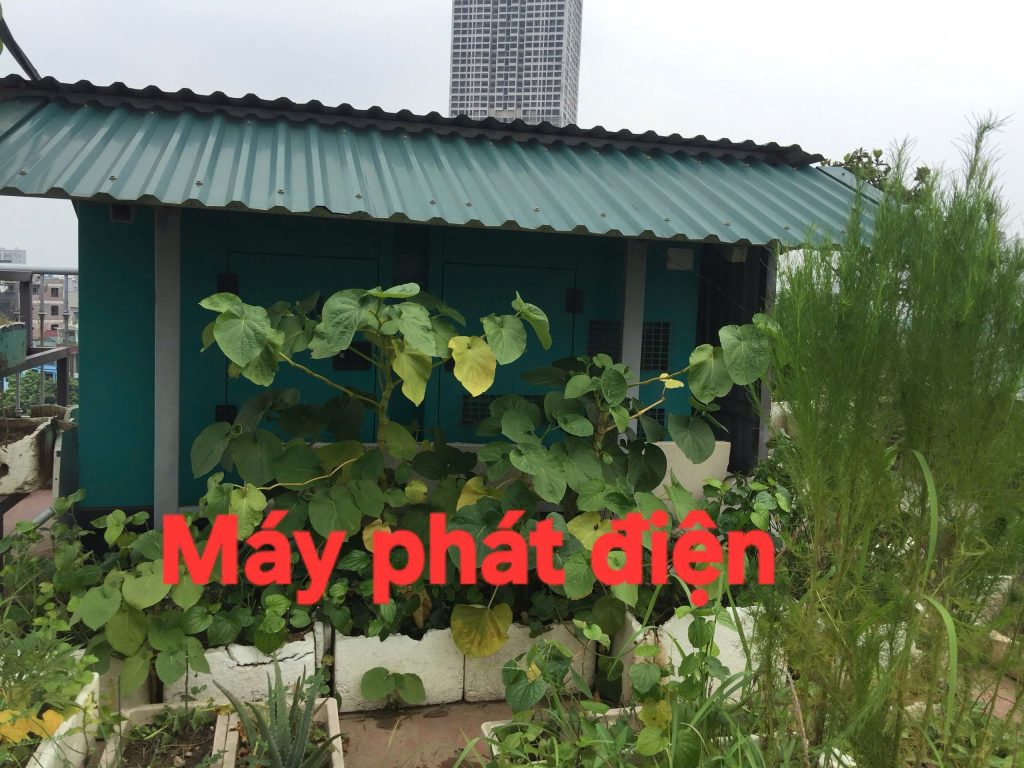 Nhà Riêng (MBKD) – 100m²/1 Tầng – 6 Tầng (1 hầm) – Hà Đông – CTV0386 - ảnh 10