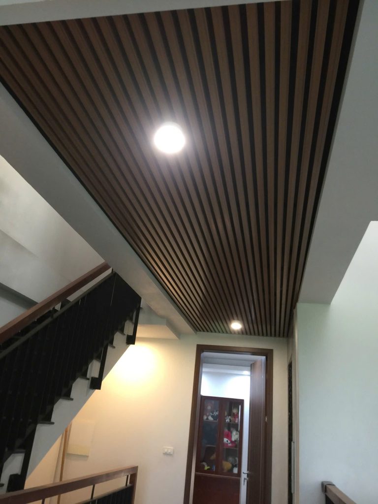 Biệt Thự – 100m² – 5 Ngủ – Phố Tứ Liên, Tây Hồ – CTV0386 - ảnh 16